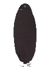 Ronix Flyweight Pro DNA Wakesurf Board 2025